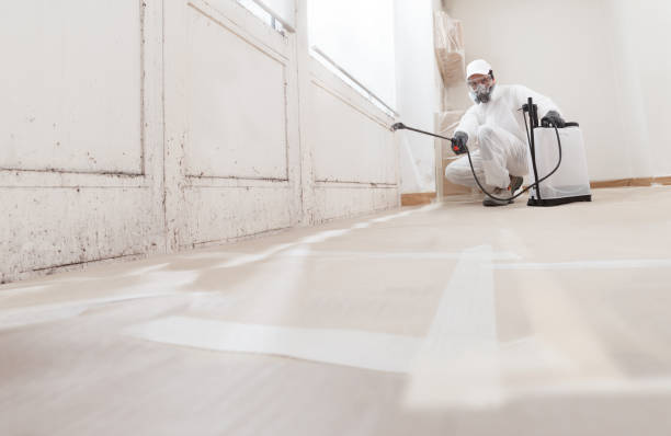 24/7 Emergency Basement Mold Remediation experts in Fairfax, VA