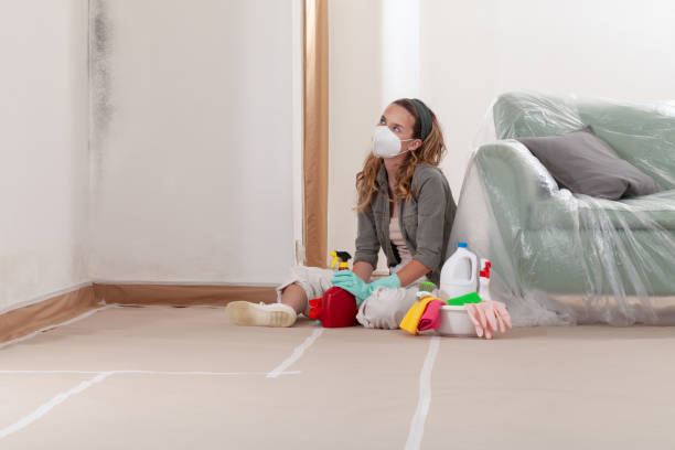 Reliable Basement Mold Remediation contractor in Fairfax, VA by Mold Remediation HQ